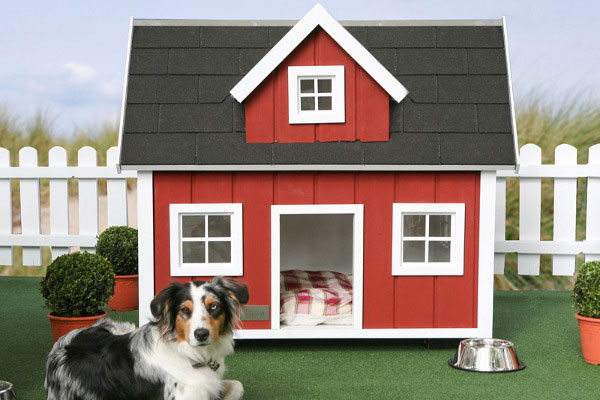 cuchaury-house-designs-for-your-dog7