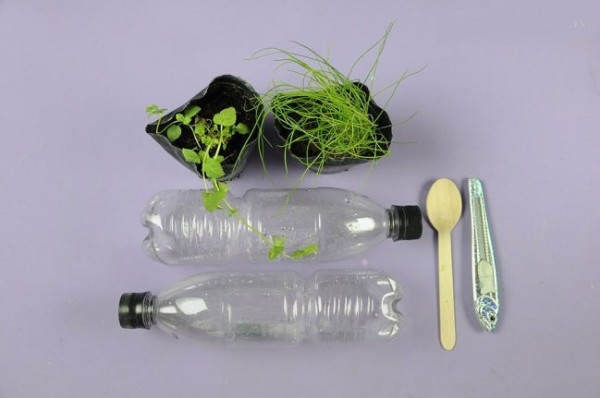 como-hacer-una-huerta-reciclando-botellas-de-plastico-1