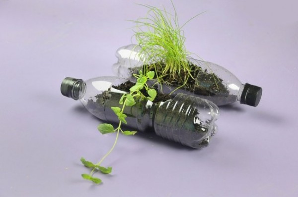 como-hacer-una-huerta-reciclando-botellas-de-plastico-6