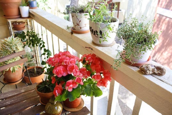 Flowers-on-a-small-balcony